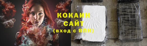 сатива Наволоки